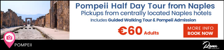 Half Day Tour From Naples To Pompeii