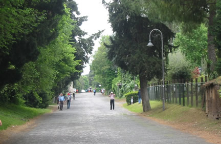 Tramo tipico de la Via Apia (Via Appia Antica) cerca de Roma