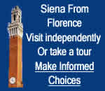 Visit Siena From Florence