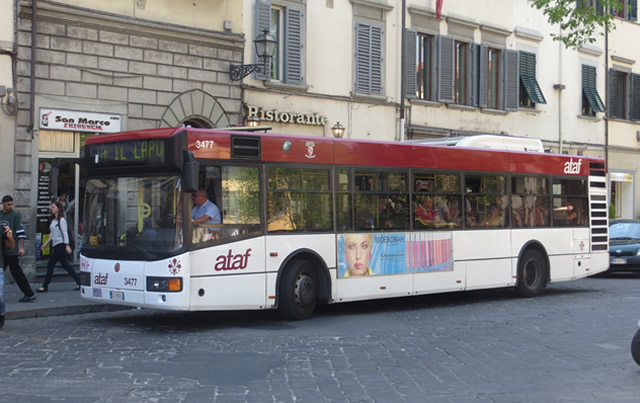 Florence to Siena Bus