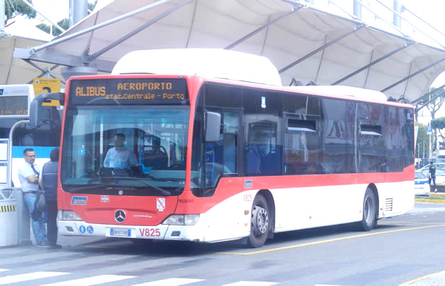 Naples Airport Bus at Naples Airport Bus Station