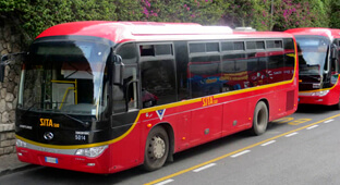 sorrento buses