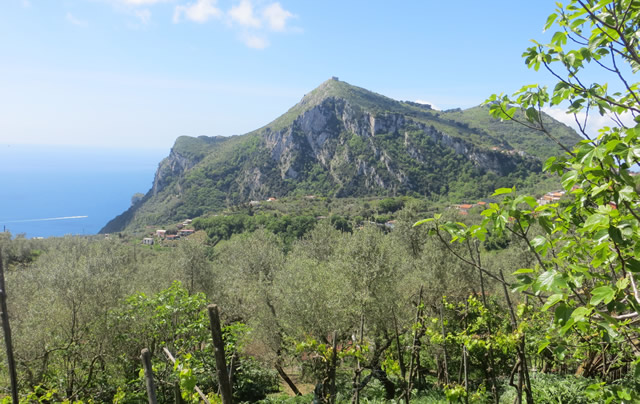 Typical walking trail around Sorrento