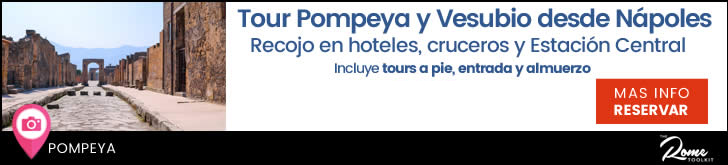 Tour de un dia desde Napoles hasta Pompeya & Monte Vesubio