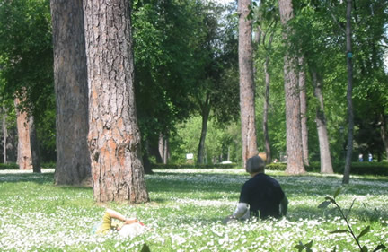 Villa Borghese Roma