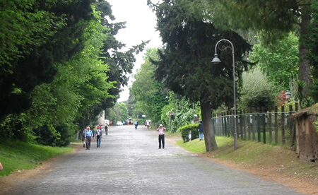 Typical stretch of Appian Way (Via Appia Antica) near Rome