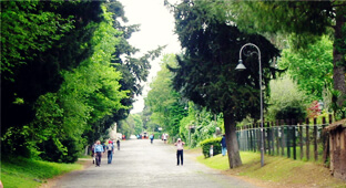 appian Way from Basilica di San giovanni