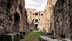 Colosseum Gladiator's Arena