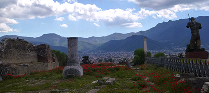 day tour of Pompeii by car from Rome