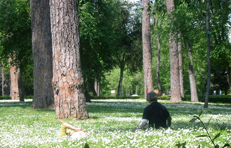 Villa Borghese park in Rome